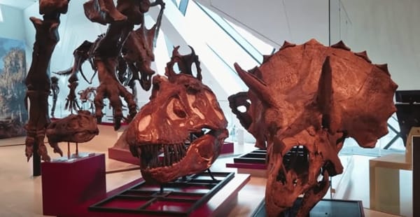 A Visit to the Royal Ontario Museum, Toronto Canada: photo 2
