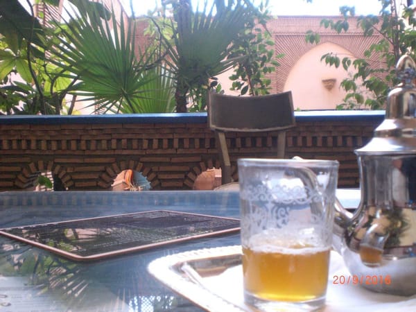 Toubkal mountain - Southwestern Morocco: photo 9