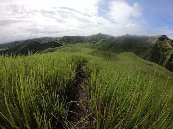 Mt. Megatong Hike - Sto. Tomas Davao Del Norte: photo 4