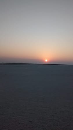 The White Desert : Rann of Kutch: photo 8
