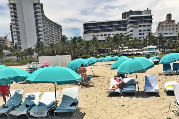 Miami Vice: One of the best cities!: photo 12