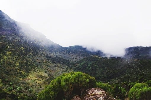 Travel Guide for top 4 Kenyan Sites: photo 1