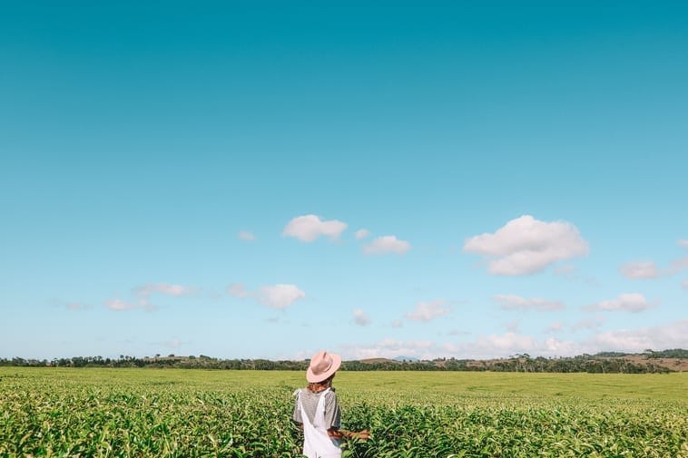 Explore Far North Queensland