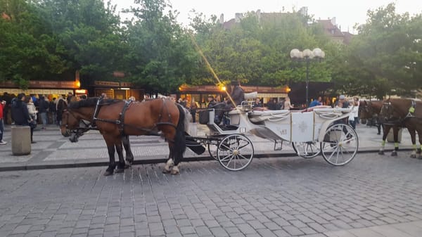 Exploring Prague In A Day: 6 Must See Attractions: photo 3