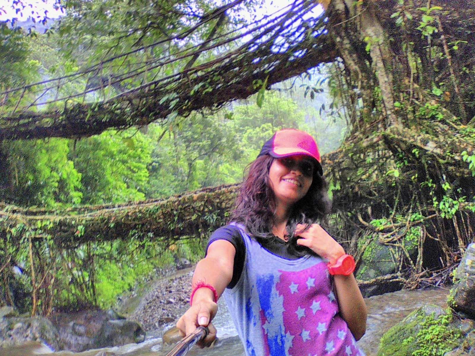 The Living Root Bridges of Meghalaya