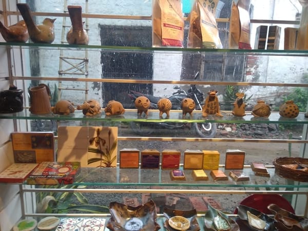 A Classic Colony: The Champa Gali in New Delhi: photo 4