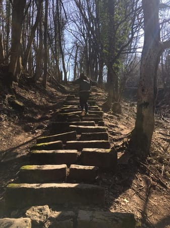 Hiking the Dangerous Mt. Salève: photo 1