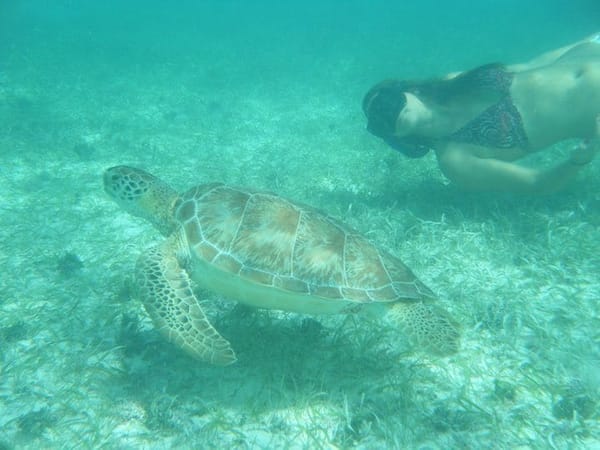Mexico: Have you heard of a paradisiac place called Tulum?: photo 2