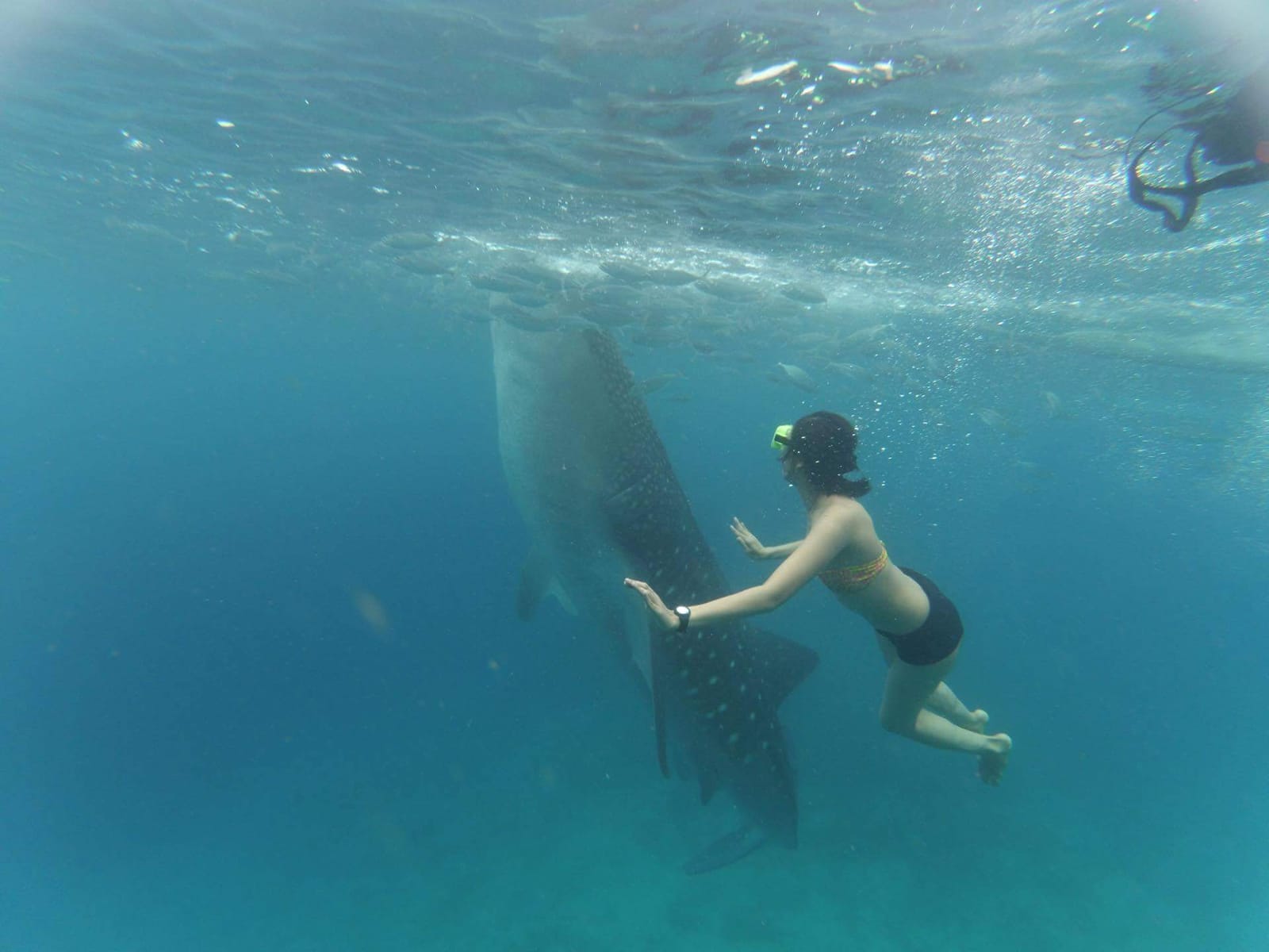 South Cebu Adventure, Philippines