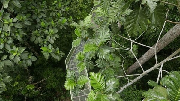 Malaysian Borneo: Amidst Nature: photo 7