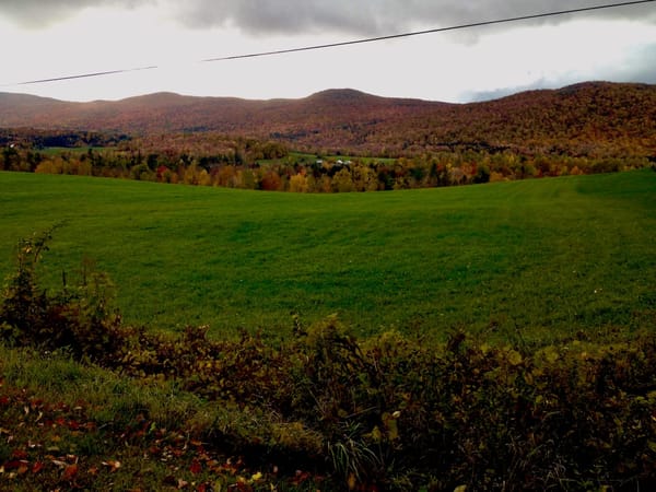 Falling for Northern Vermont: The Ultimate Road Trip.: photo 6