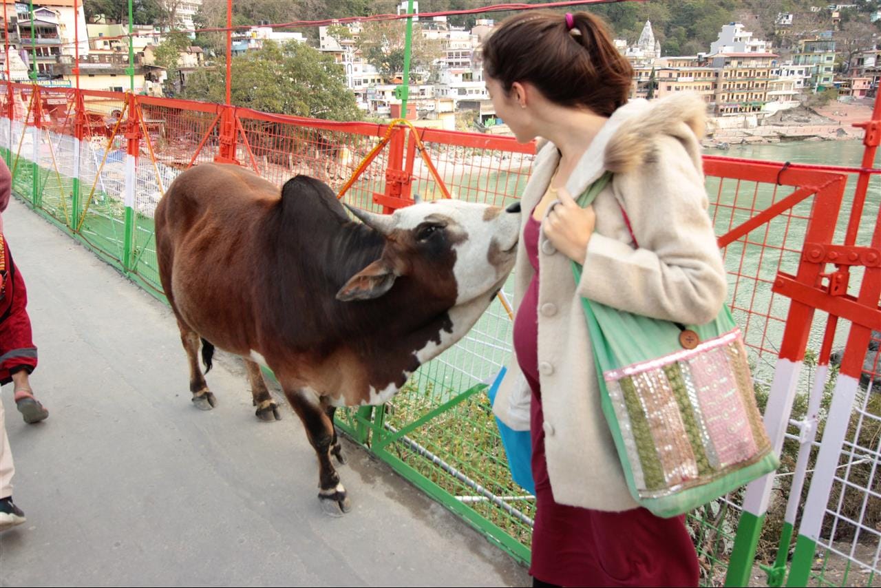 Travelling pregnant: 3 months in India