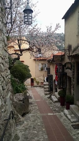 Nice, Eze, and Monaco... In One Day!: photo 5
