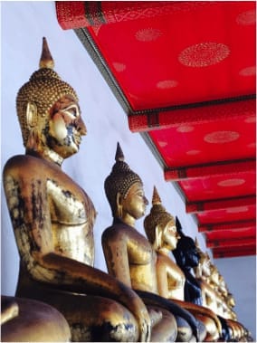 From Mud to Sky in Bangkok: photo 2