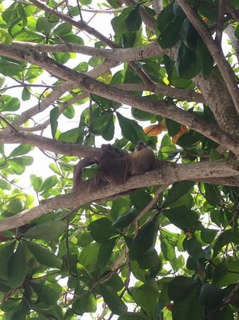 The best places to visit in Costa Rica: photo 3