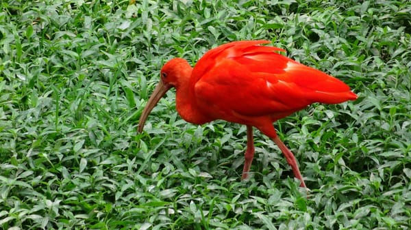 Attractions You Can’t Miss When Visiting Kuala Lumpur, Malaysia: photo 4