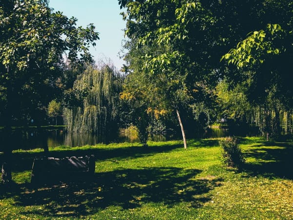 A weekend escape in Pitesti - The city of tulips: photo 6