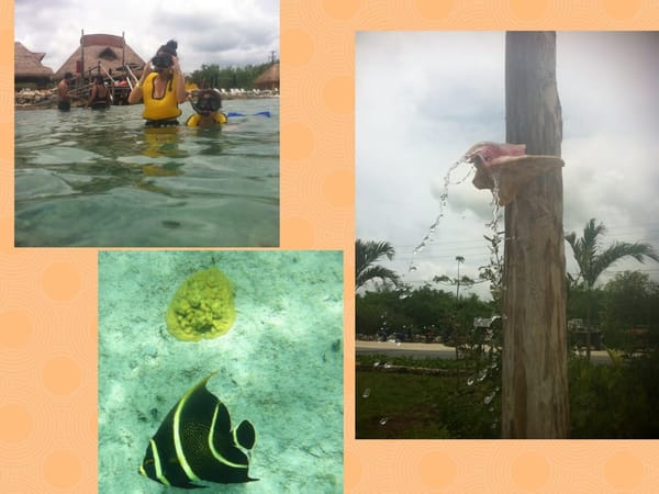 Cozumel, “Cuzaam Luumil”, Island of Swallows.: photo 4