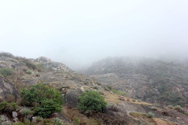 Rajasthan - A Majestic journey through the Mountains: photo 3