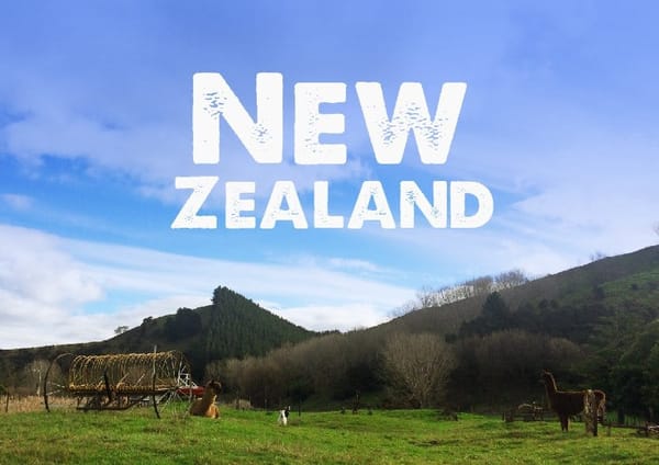 Live a year in New Zealand: photo 1