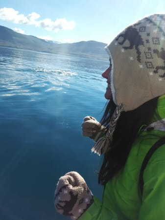Iceland: the day when I first saw a whale: photo 5