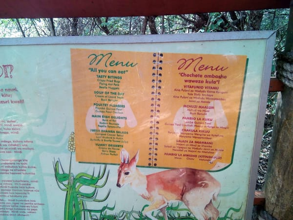 An Afternoon at the Nairobi Safari Walk.: photo 2