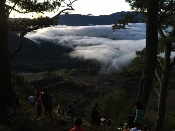 Trekking Mt. Kupapey in Bontoc, Mt. Province: photo 4