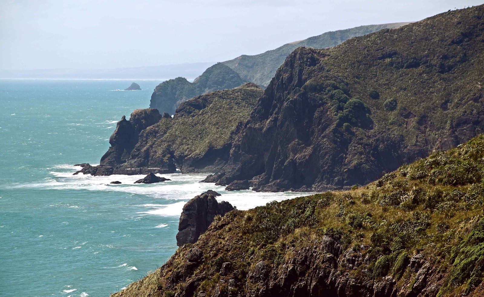 What to do three Days in Auckland