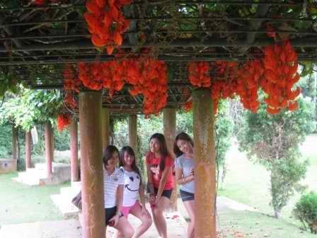 5 Things to Do in Davao: photo 29