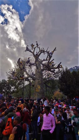 Welcome to Nagaland's Hornbill Festival: photo 1