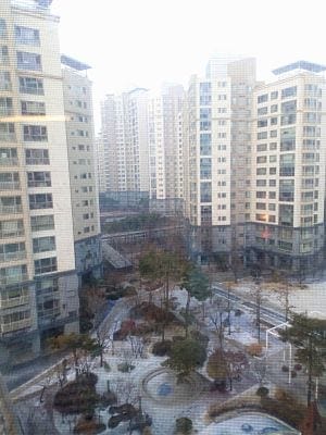 Facts about South Korea: First time at Seoul: photo 6