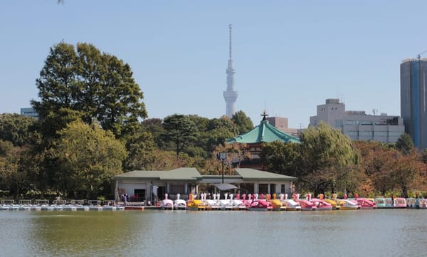 JAPAN: 10 DAYS IN TOKYO: photo 9