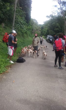 Conquering Paria the Perilous & Turtle Rock: Trinidad and Tobago: photo 2