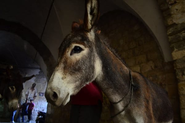 West Bank Secrets: The Stunning Town of Nablus: photo 1