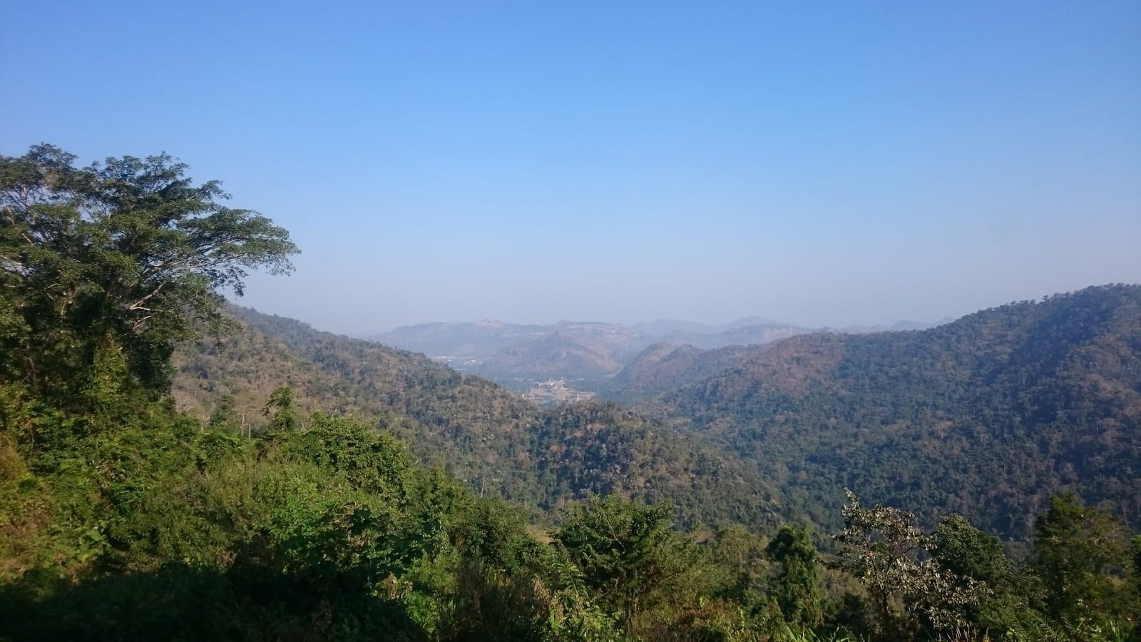 Khao Yai National Park: A Backpacker Safari