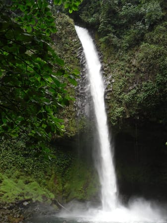 A Round Trip In The Highlands of Costa Rica: photo 7