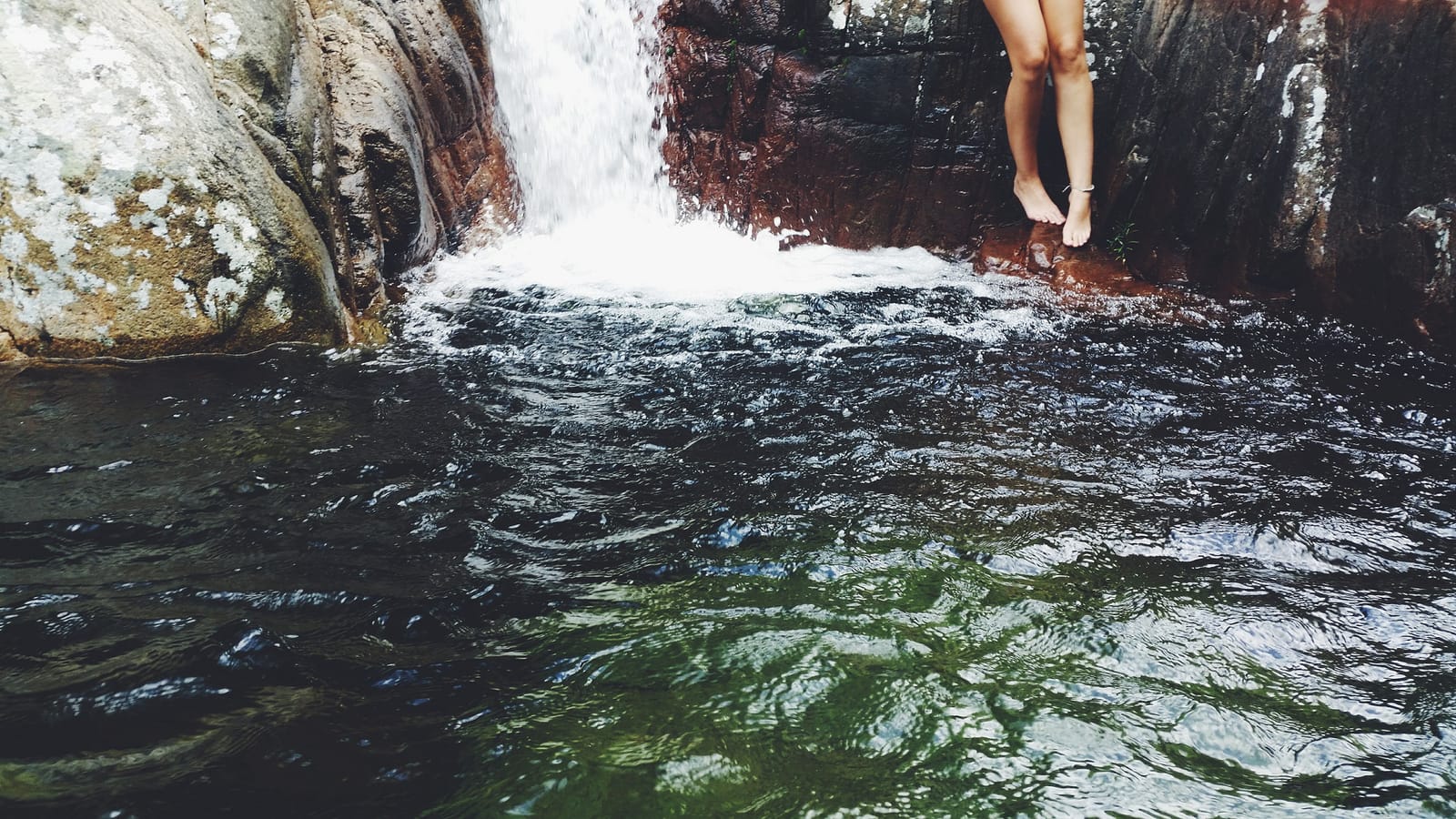 Townsville: Where The Rainforest Meets The Sea