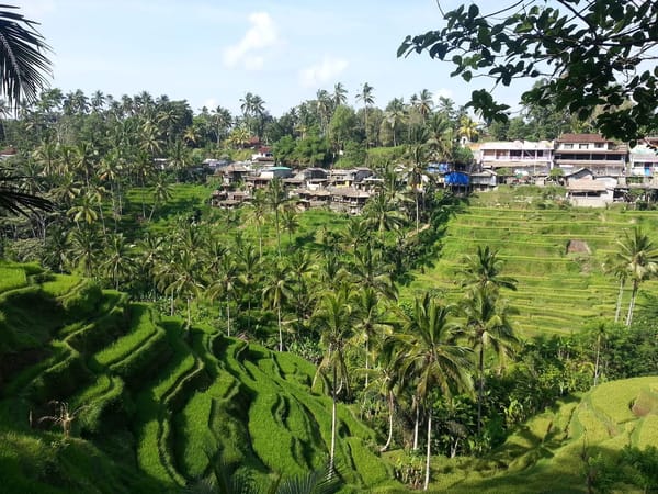 Travel Guide to Bali: An Exuberant Holiday Destination: photo 6