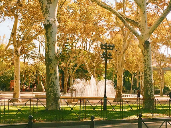 Things to do in Montpellier, France: photo 6