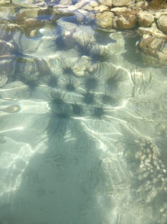 Exploring the essence of El Nido, Palawan: photo 11