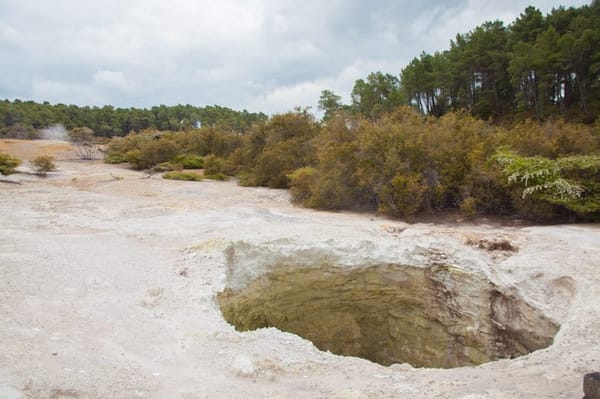 Wai-O-Tapu: the best volcanic park in New Zealand: photo 3
