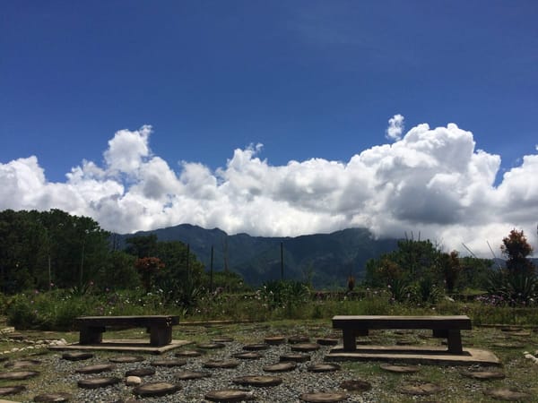 Baguio City: From the Eyes of a Local: photo 5