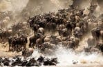 Travel Guide for top 4 Kenyan Sites: photo 5