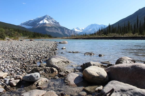 Things to Know to Road Trip in Jasper National Park, Canada: photo 3