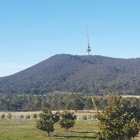 Canberra: The Bush Capital of Australia: photo 6