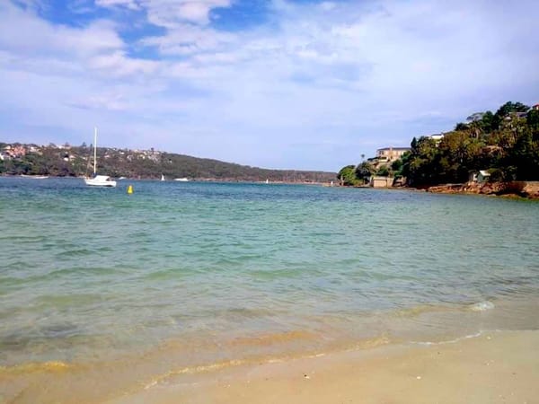 Top 5 things to do in Mosman, Sydney: photo 3