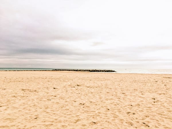 Things to do in Montpellier, France: photo 8