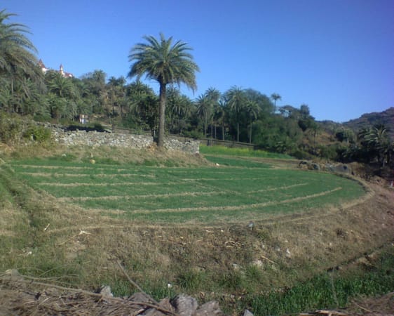 Mount Abu: An oasis in the desert state of Rajasthan, India.: photo 4
