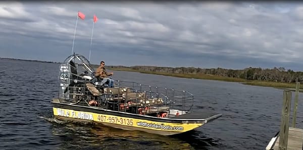 Wild Florida: photo 1