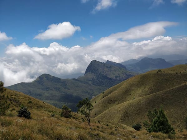 Best Place to Take a Trek in Munnar: Meesapulimala: photo 1
